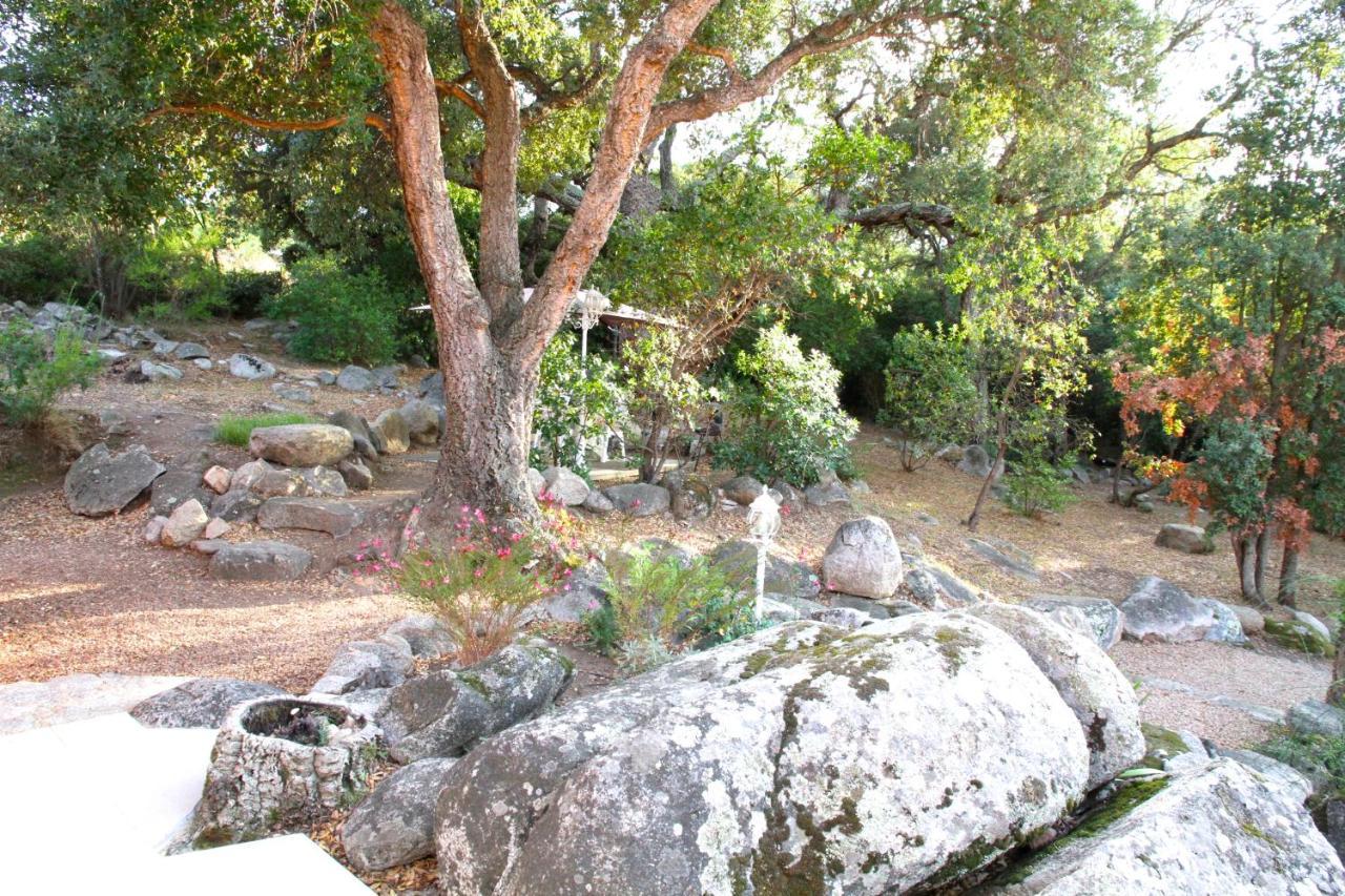 Residence Les Jardins De Sainte-Lucie "Piscine Chauffee" Luaran gambar